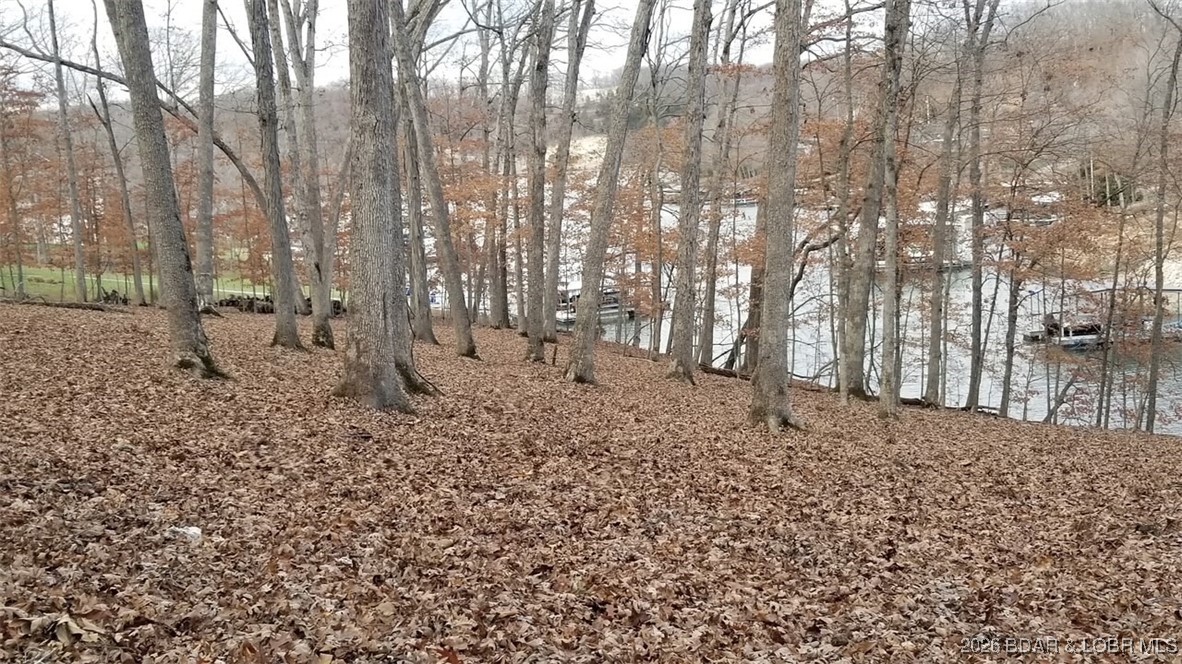 Graceland Point Climax Springs, MO 65324 - Photo 21 of 36