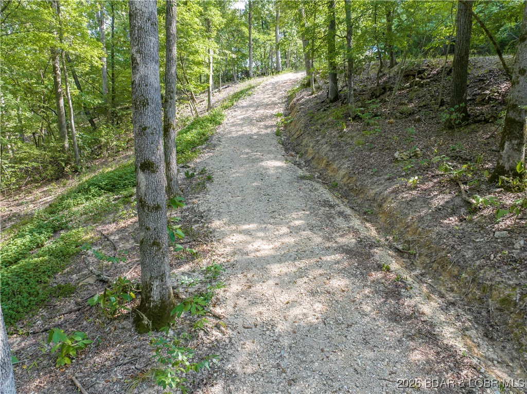 Graceland Point Climax Springs, MO 65324 - Photo 22 of 36