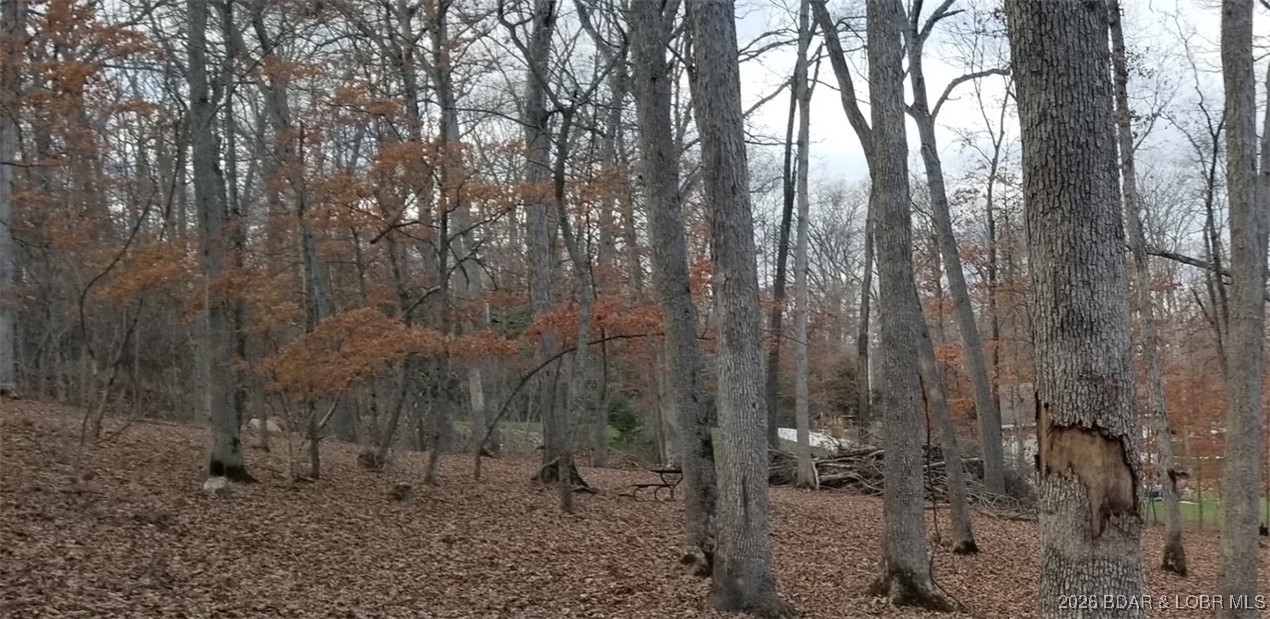 Graceland Point Climax Springs, MO 65324 - Photo 23 of 36