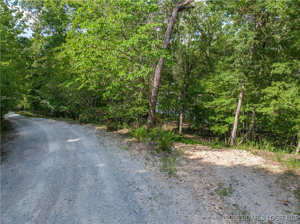 Graceland Point Climax Springs, MO 65324 - Photo 24 of 36