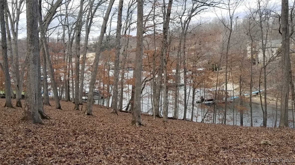 Graceland Point Climax Springs, MO 65324 - Photo 25 of 36