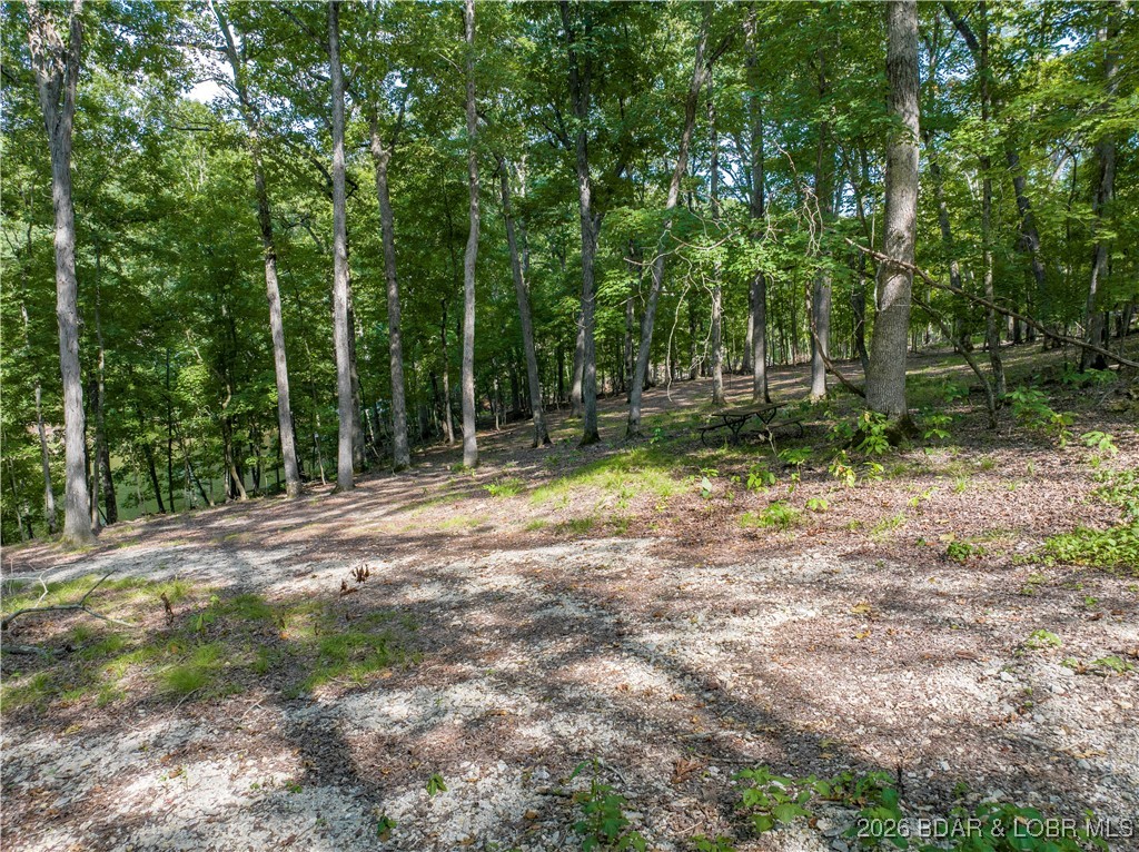 Graceland Point Climax Springs, MO 65324 - Photo 26 of 36