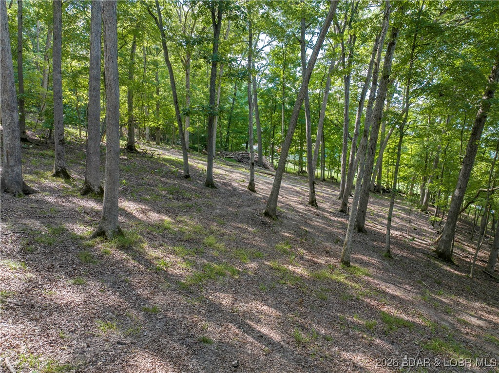 Graceland Point Climax Springs, MO 65324 - Photo 27 of 36