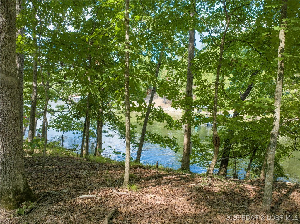 Graceland Point Climax Springs, MO 65324 - Photo 29 of 36