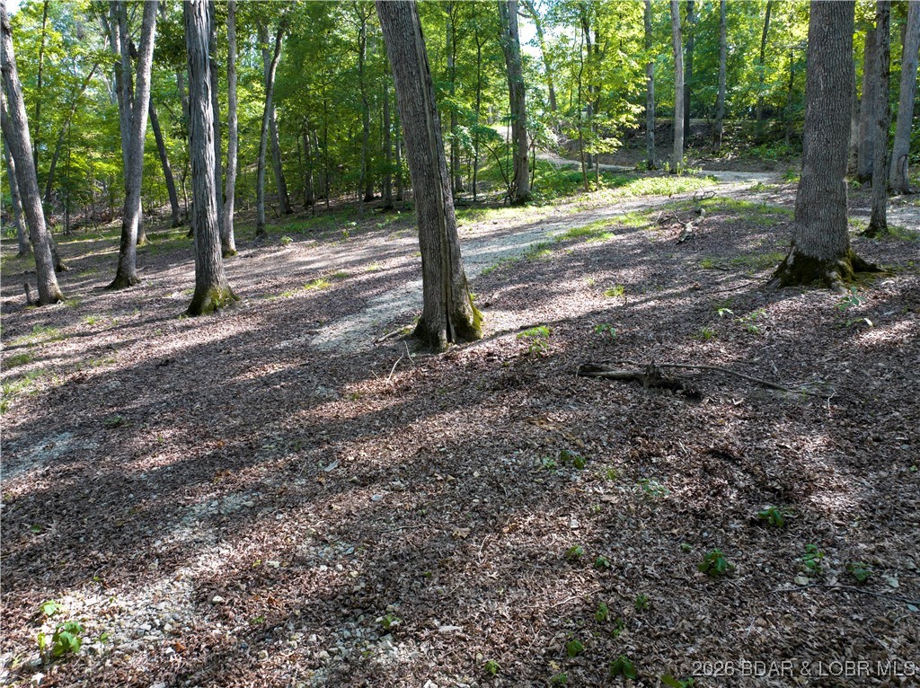 Graceland Point Climax Springs, MO 65324 - Photo 30 of 36