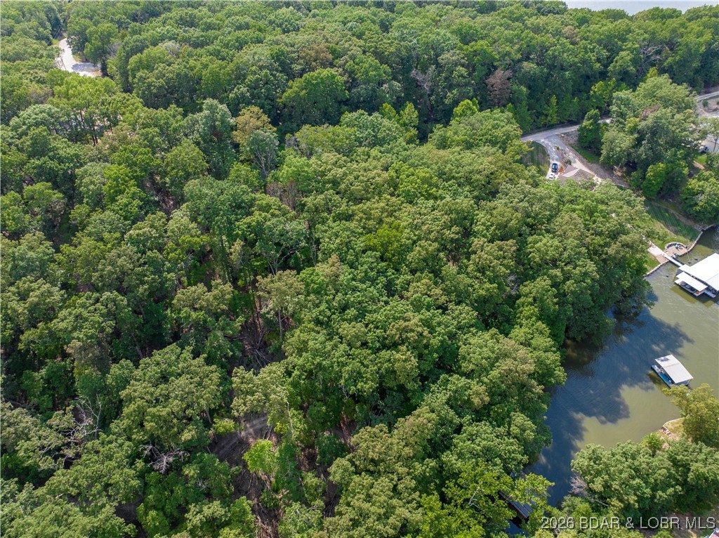 Graceland Point Climax Springs, MO 65324 - Photo 33 of 36