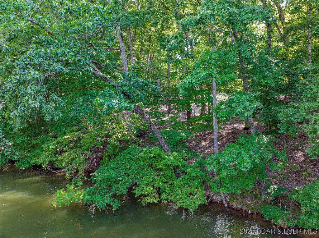 Graceland Point Climax Springs, MO 65324 - Photo 5 of 37 Gentle lake front