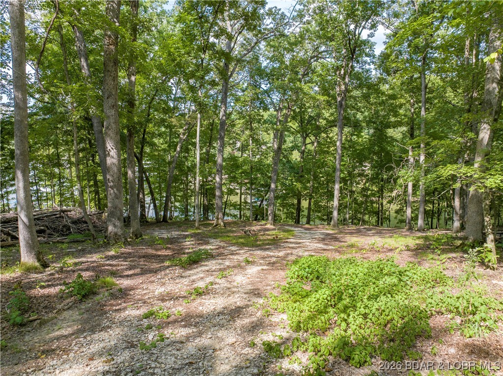 Graceland Point Climax Springs, MO 65324 - Photo 6 of 36