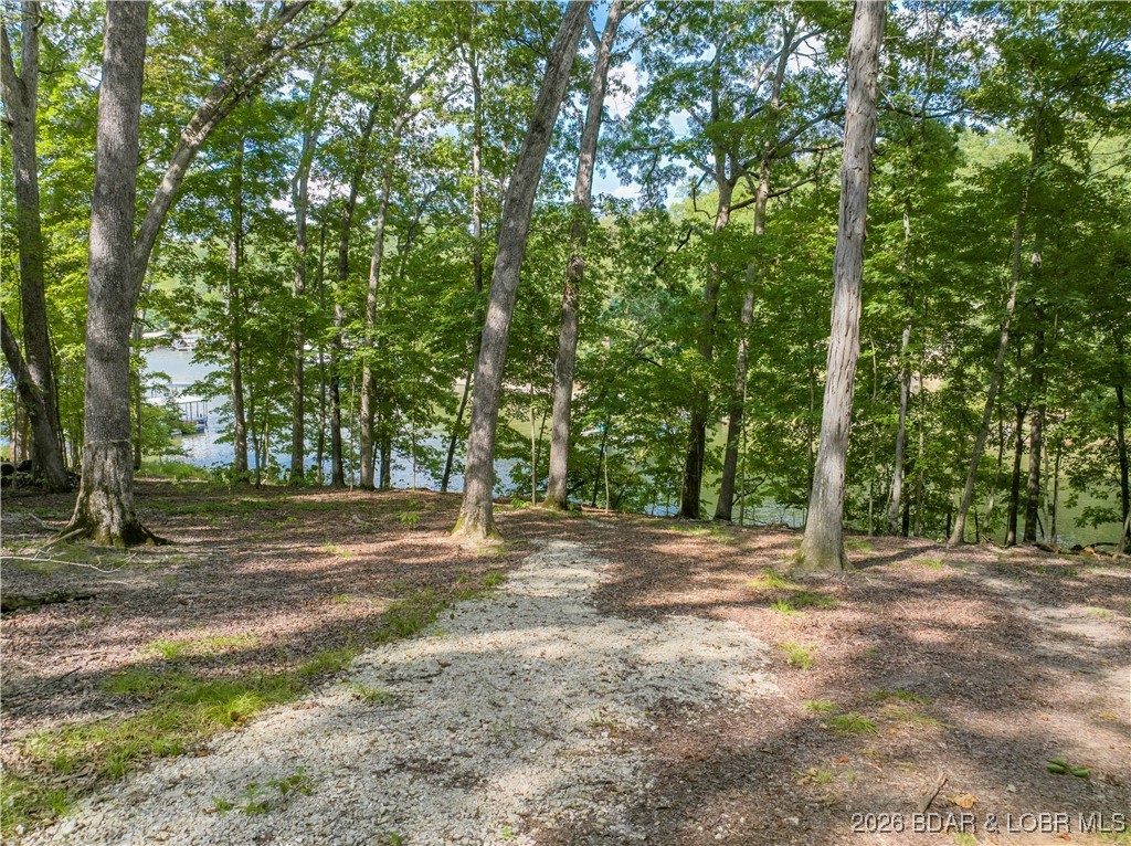 Graceland Point Climax Springs, MO 65324 - Photo 7 of 36