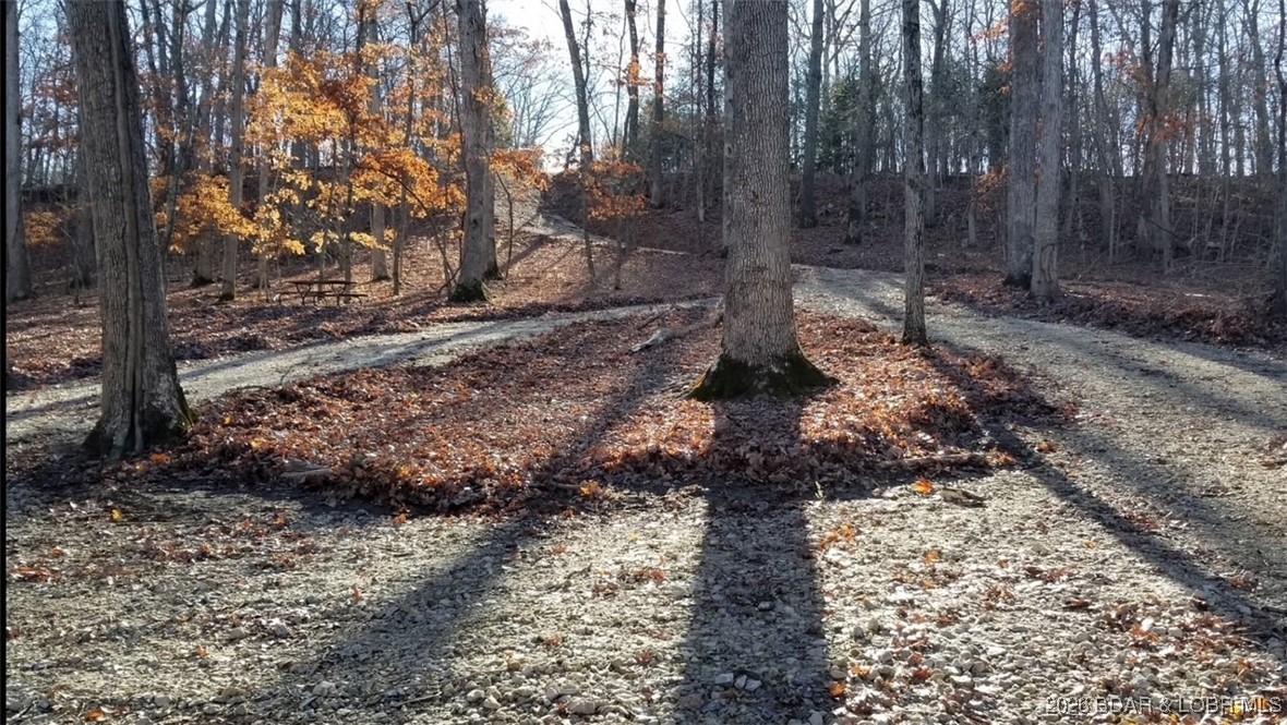 Graceland Point Climax Springs, MO 65324 - Photo 8 of 36