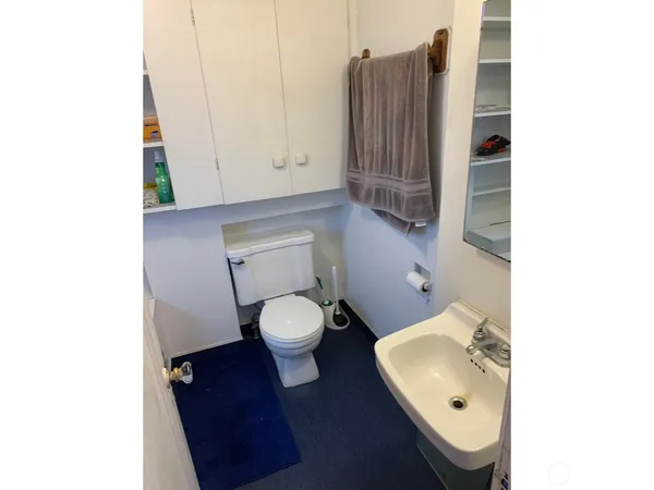 a bathroom with a toilet and a sink