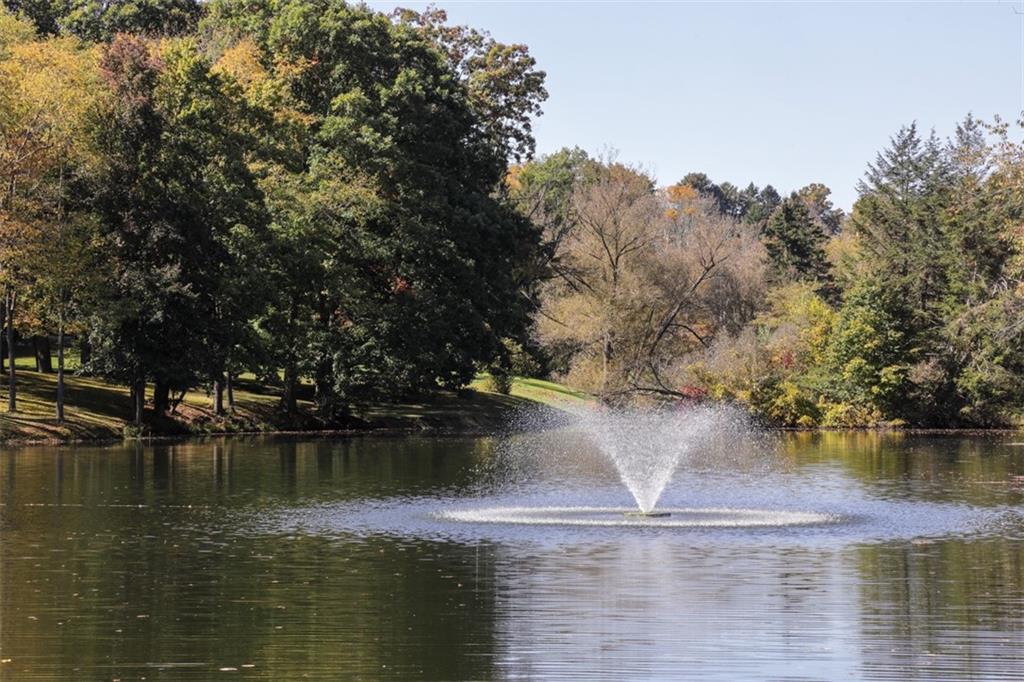 201 McDowell Road Ligonier, PA 15658 - Photo 50 of 50 Aerated lake