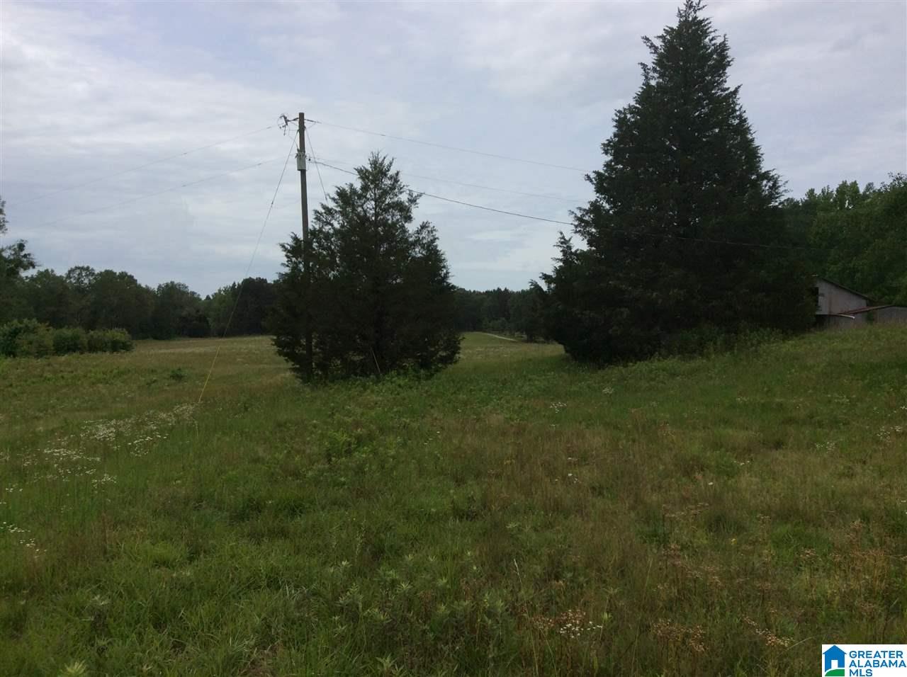 1395 County Road 152 Jemison, AL 35085 - Photo 16 of 26