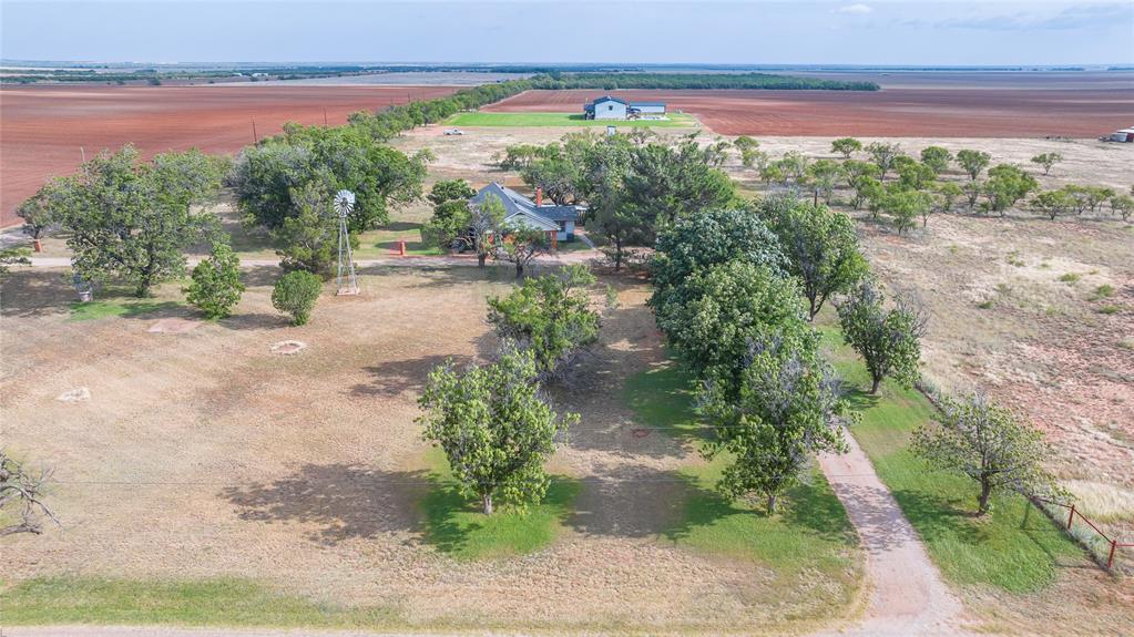 595 Wimberly Road Merkel, TX 79536 - Photo 36 of 40