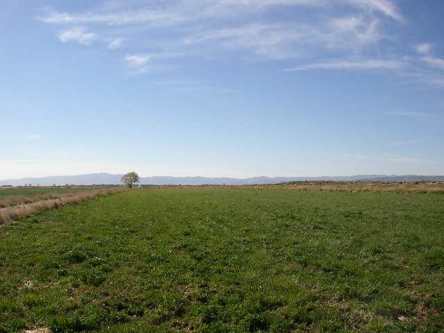 Lot 7 Oran Road Fallon, NV 89406 - Photo 1 of 1 a view of outdoor space and yard