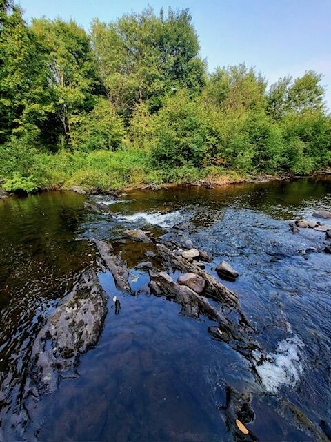 M2-l2 Back Ridge Road Houlton, ME 04730 - Photo 65 of 79 IMG_1504