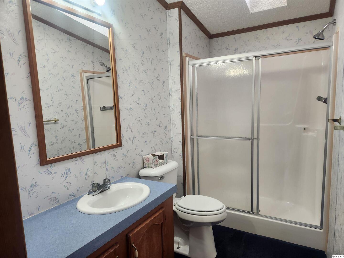 228 North Madison Street Carthage, IL 62321 - Photo 9 of 19 a bathroom with a sink and a mirror