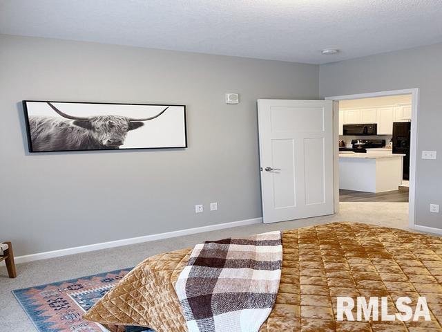 2592 Middle Road, Unit 308 Bettendorf, IA 52722 - Photo 11 of 35 Gallery Image 11