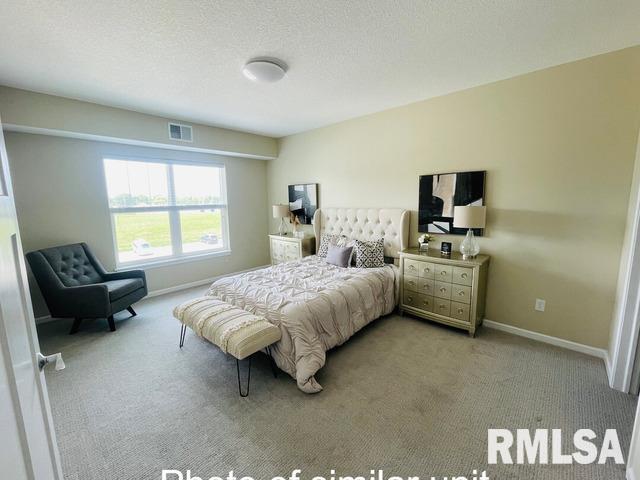 2592 Middle Road, Unit 308 Bettendorf, IA 52722 - Photo 7 of 35 Gallery Image 7