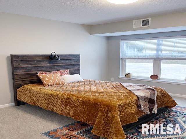 2592 Middle Road, Unit 308 Bettendorf, IA 52722 - Photo 9 of 35 Gallery Image 9