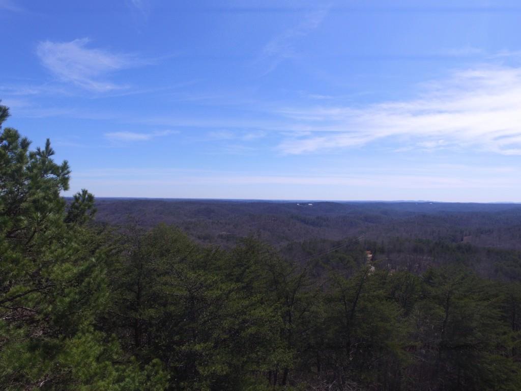 32 Crown Mountain Way, Dahlonega, GA 30533 Compass