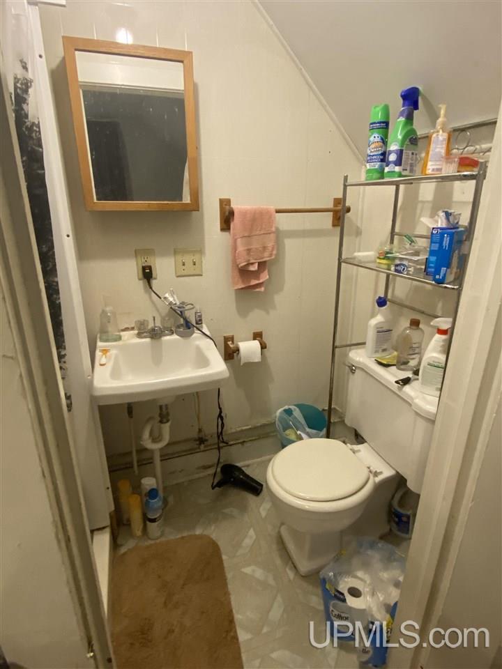 325 West Ridge Street Ishpeming, MI 49849 - Photo 52 of 57