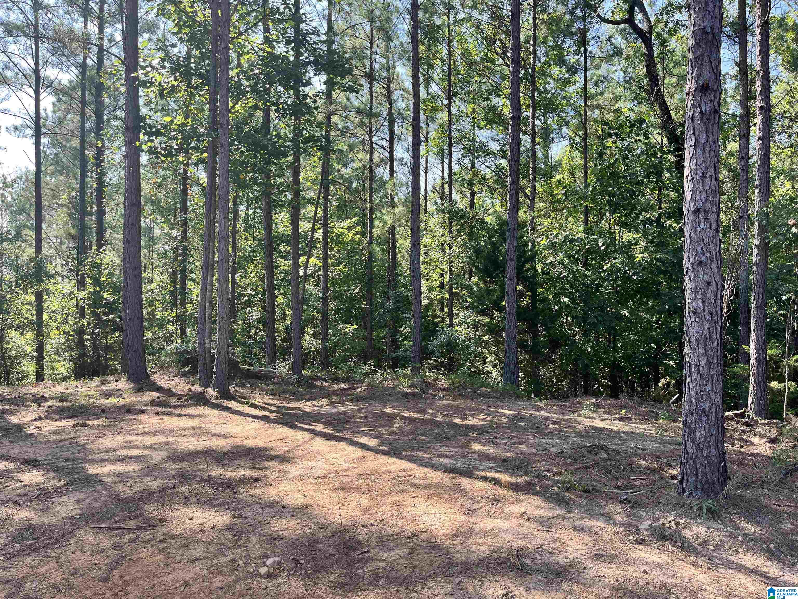 780 Sweet Apple Road, Unit TRACT 4 Pell City, AL 35128 - Photo 4 of 8
