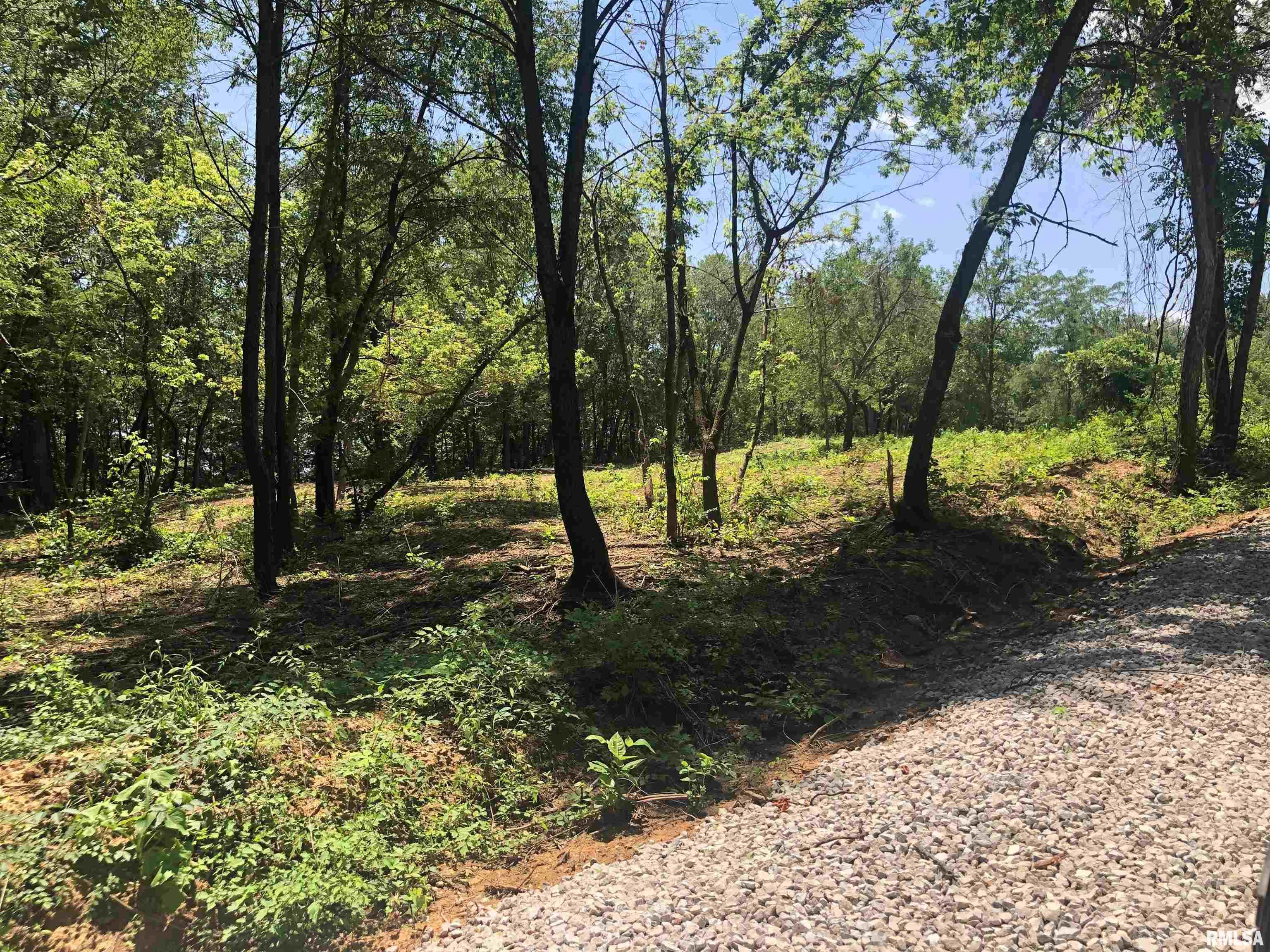 Lot 2 West McKee Road Peoria, IL 61607 - Photo 3 of 4