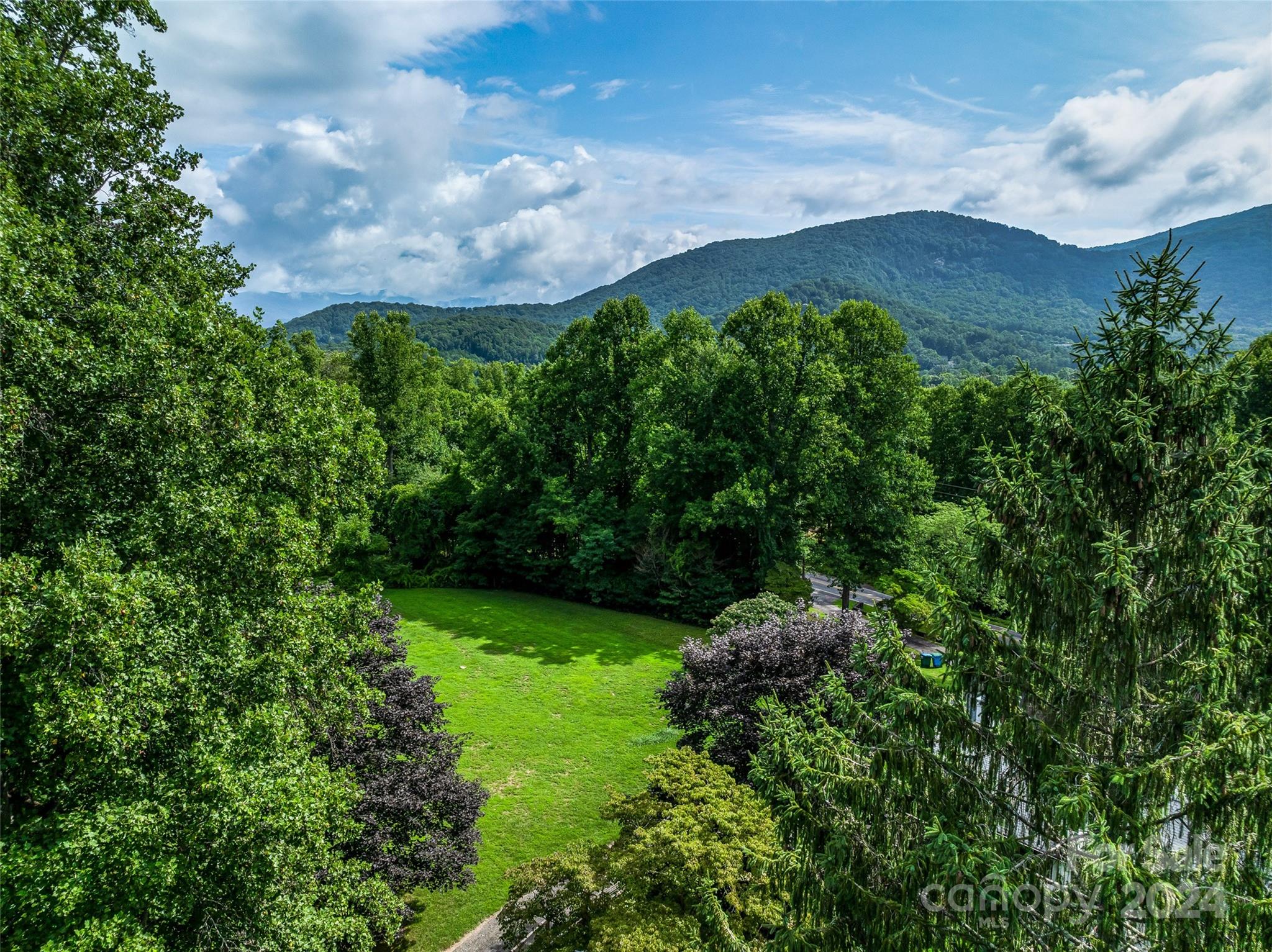 99999 Bee Ridge Road Asheville, NC 28803 - Photo 1 of 22 Gallery Image 1