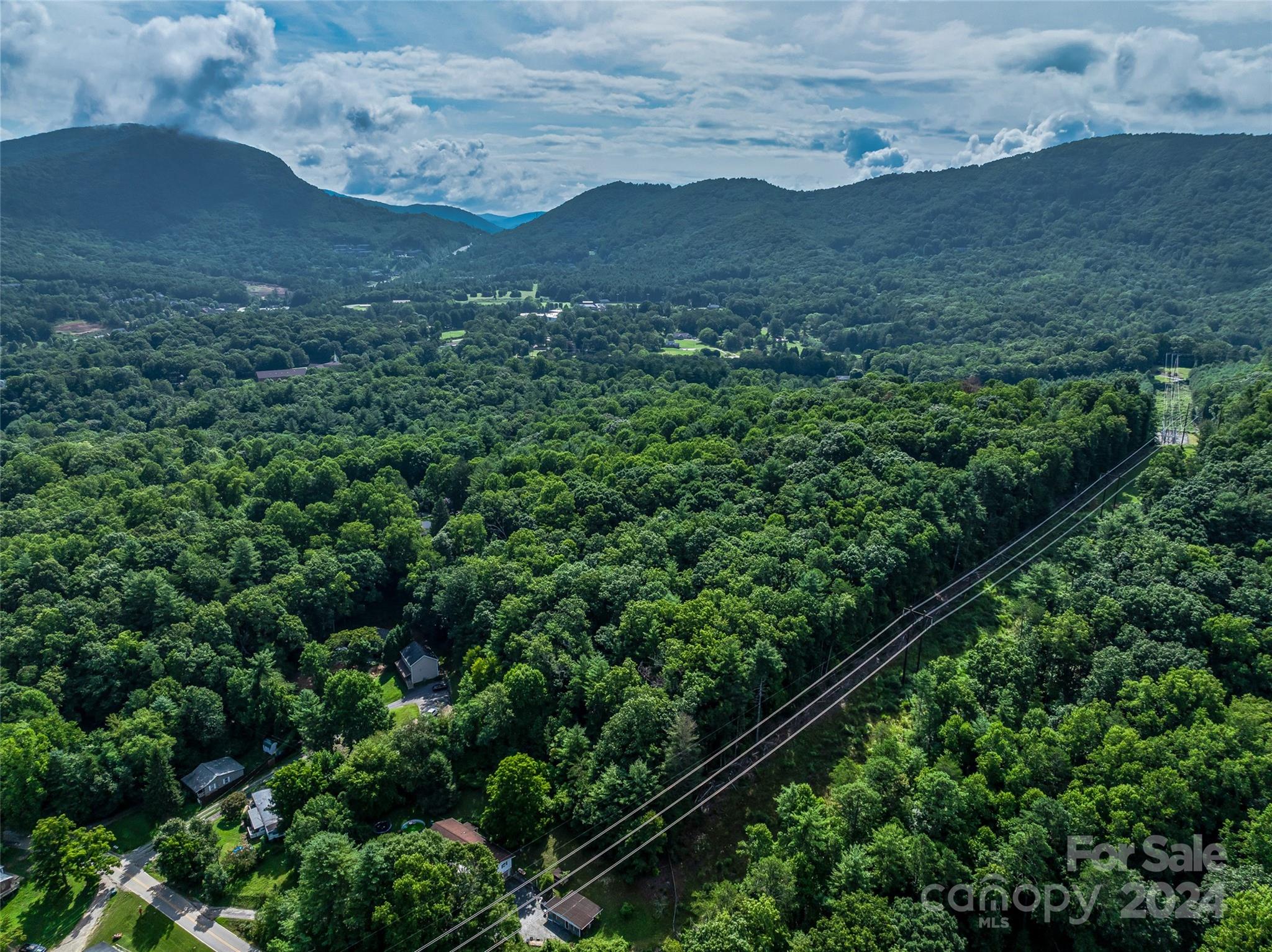 99999 Bee Ridge Road Asheville, NC 28803 - Photo 13 of 22 Gallery Image 13