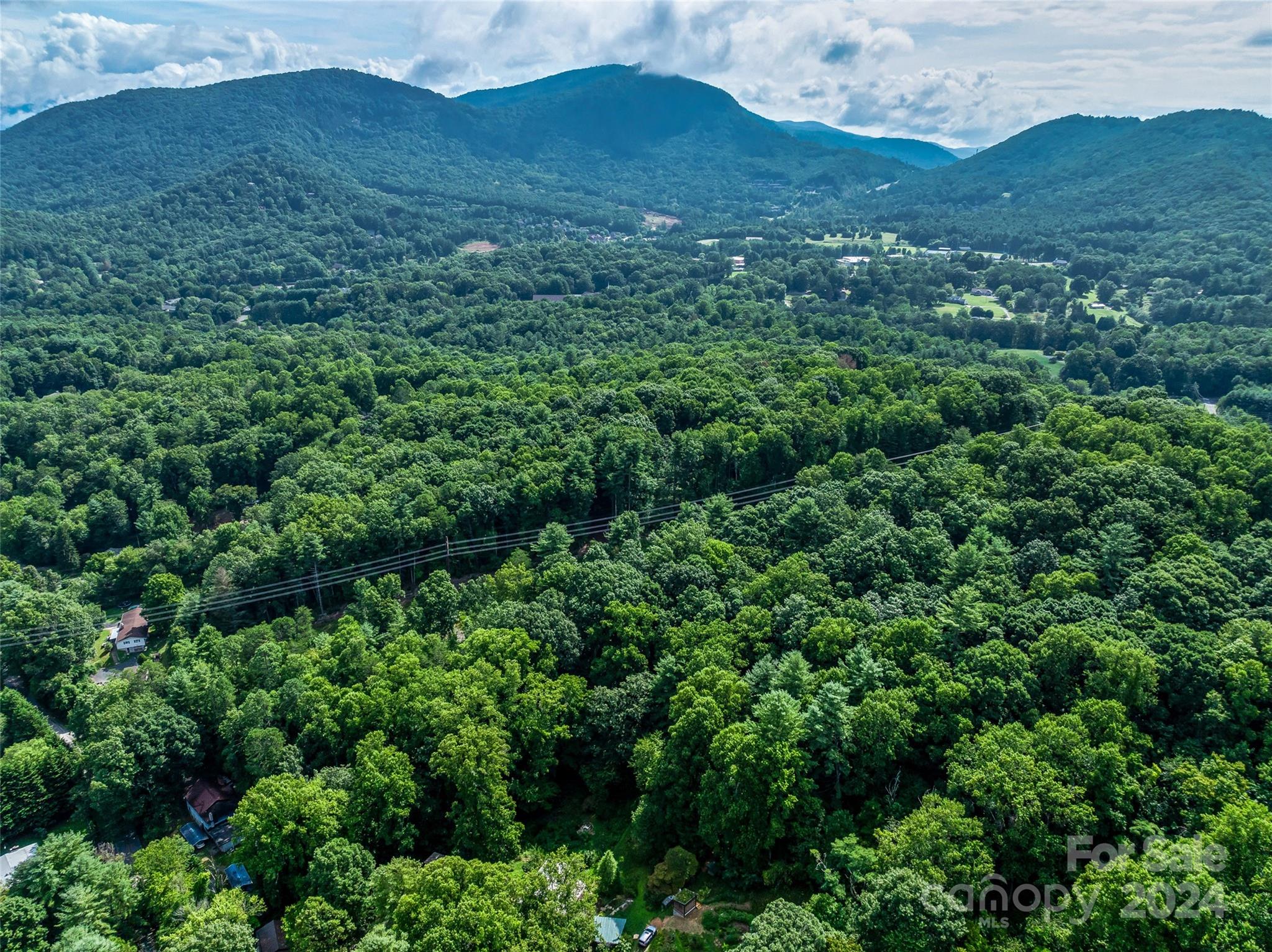 99999 Bee Ridge Road Asheville, NC 28803 - Photo 17 of 22 Gallery Image 17