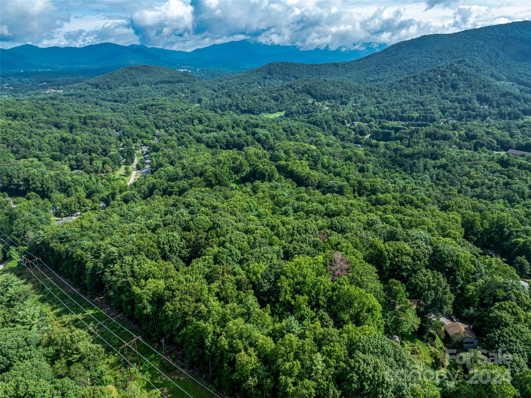 99999 Bee Ridge Road Asheville, NC 28803 - Photo 18 of 22 Gallery Image 18