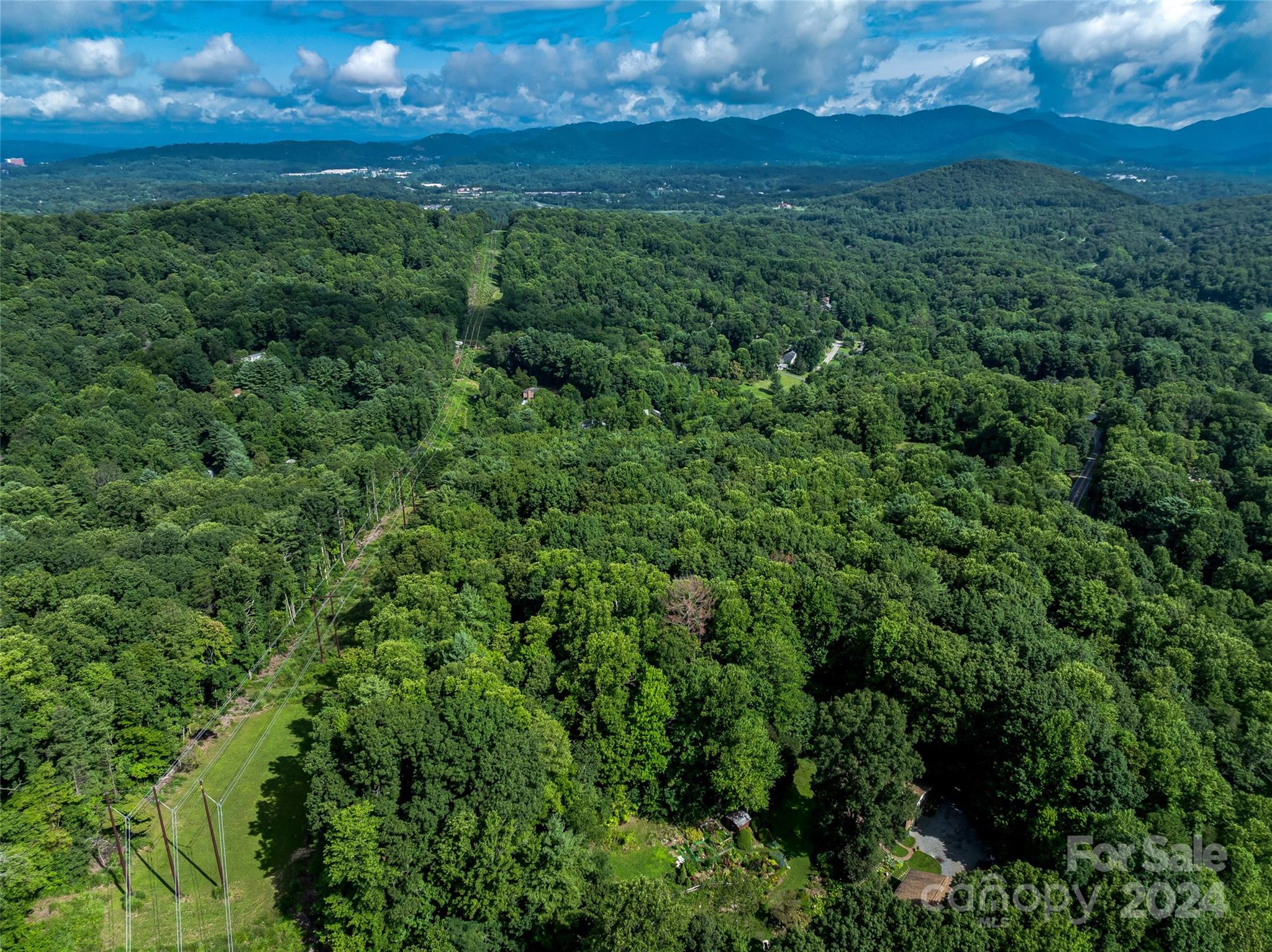 99999 Bee Ridge Road Asheville, NC 28803 - Photo 19 of 22 Gallery Image 19