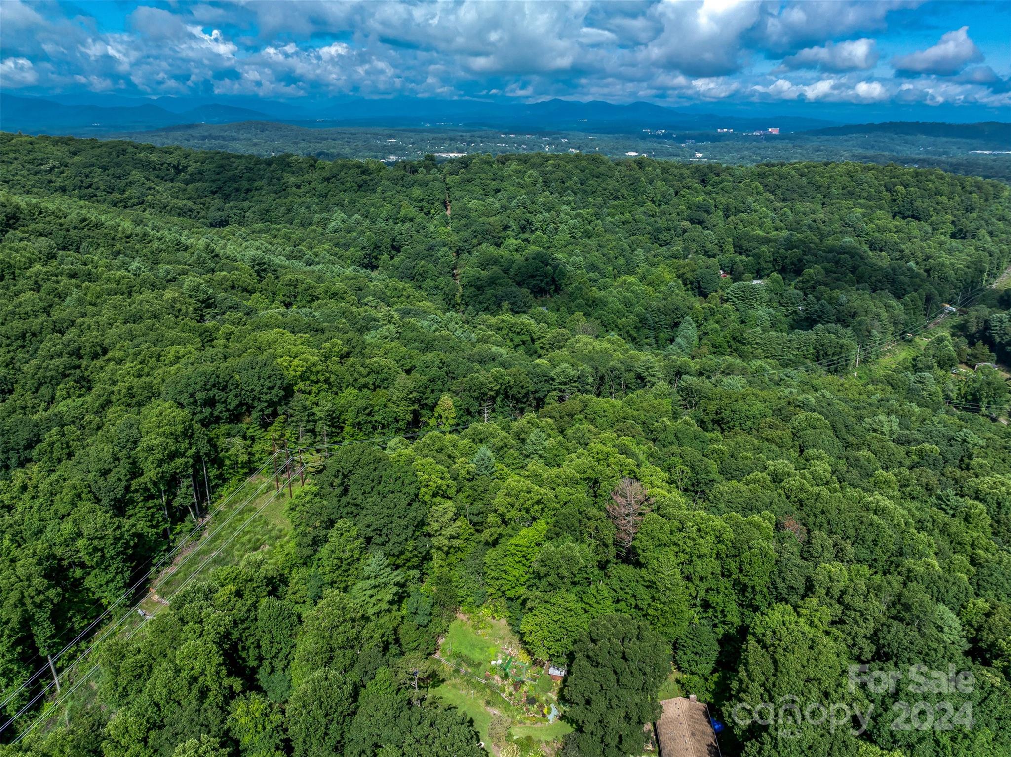99999 Bee Ridge Road Asheville, NC 28803 - Photo 20 of 22 Gallery Image 20