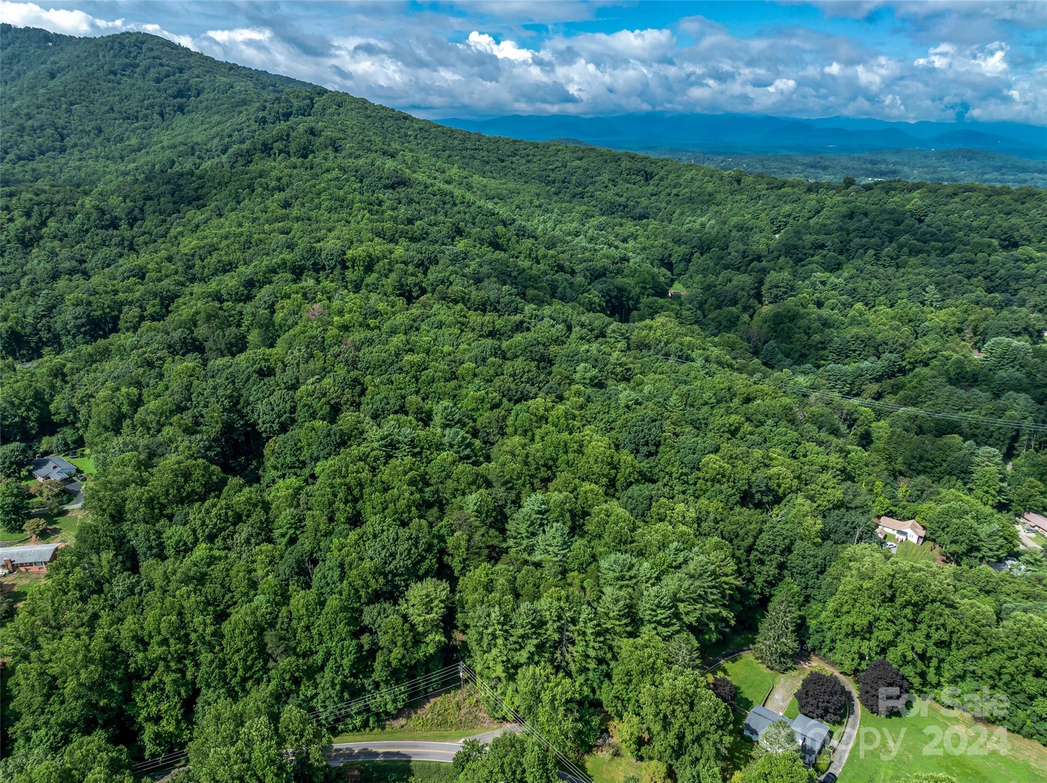99999 Bee Ridge Road Asheville, NC 28803 - Photo 21 of 22 Gallery Image 21