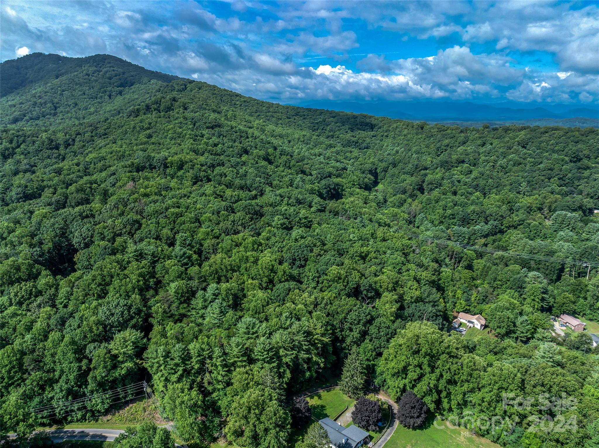 99999 Bee Ridge Road Asheville, NC 28803 - Photo 3 of 22 Gallery Image 3