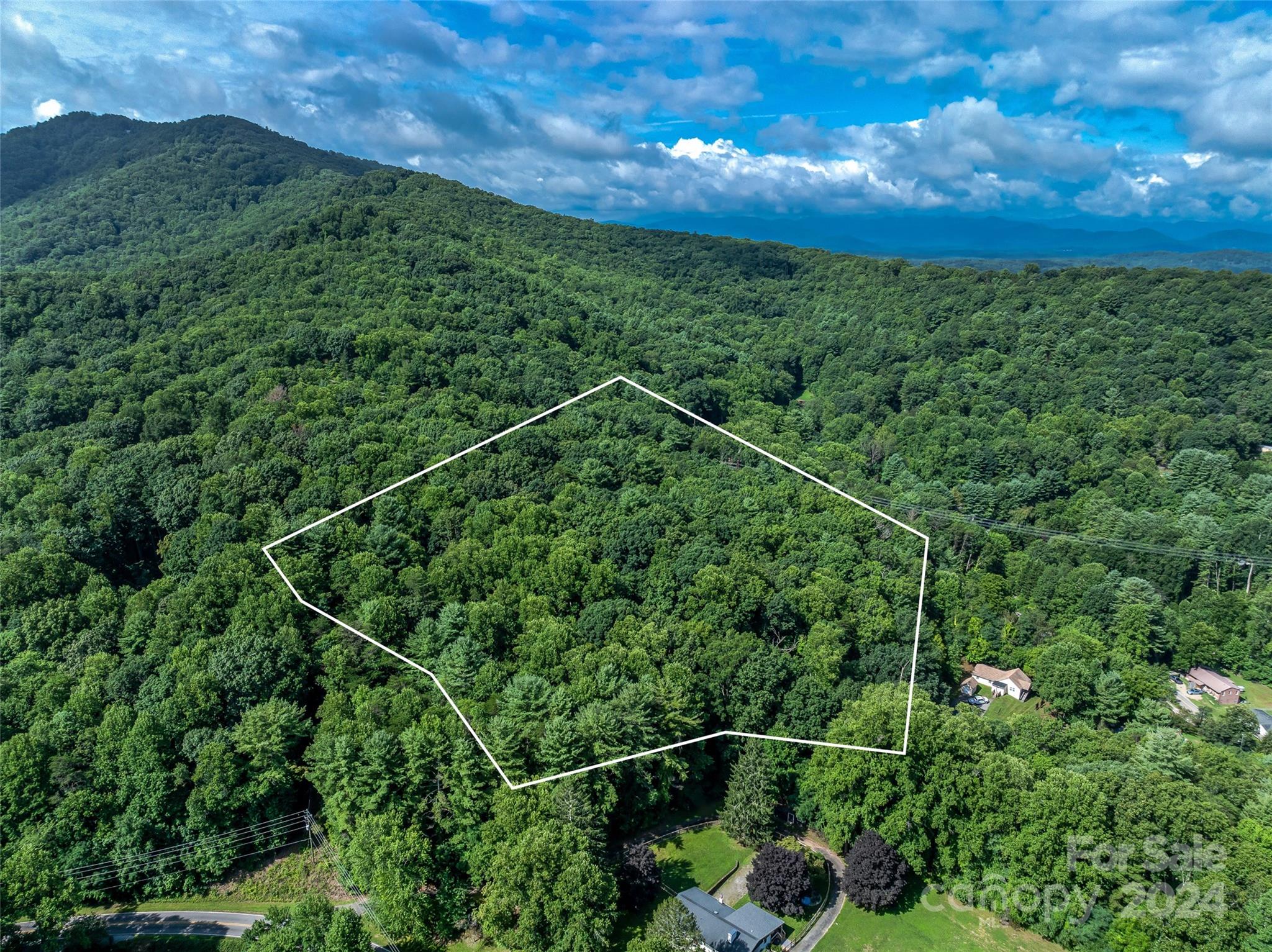 99999 Bee Ridge Road Asheville, NC 28803 - Photo 4 of 22 Gallery Image 4