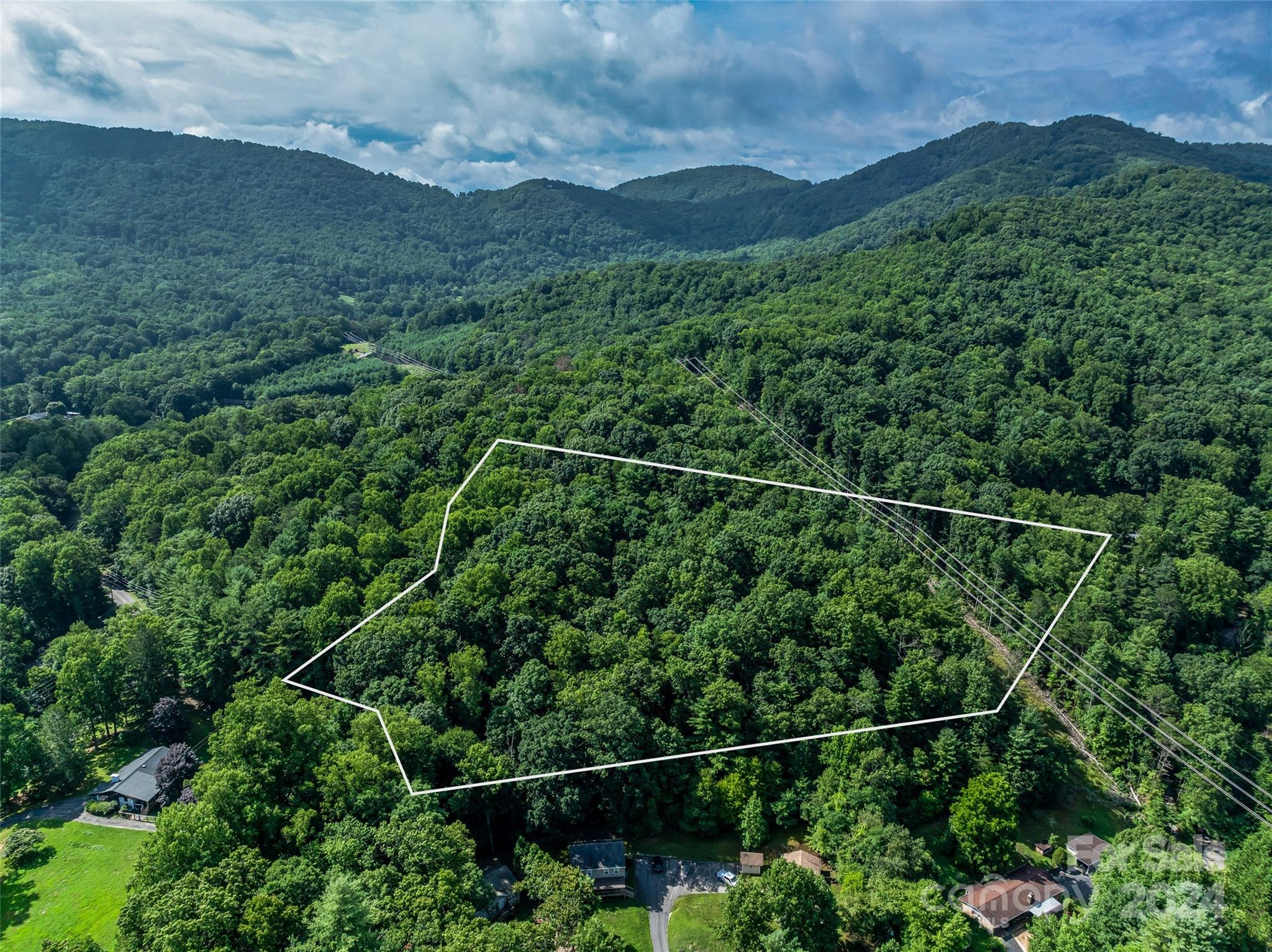 99999 Bee Ridge Road Asheville, NC 28803 - Photo 6 of 22 Gallery Image 6