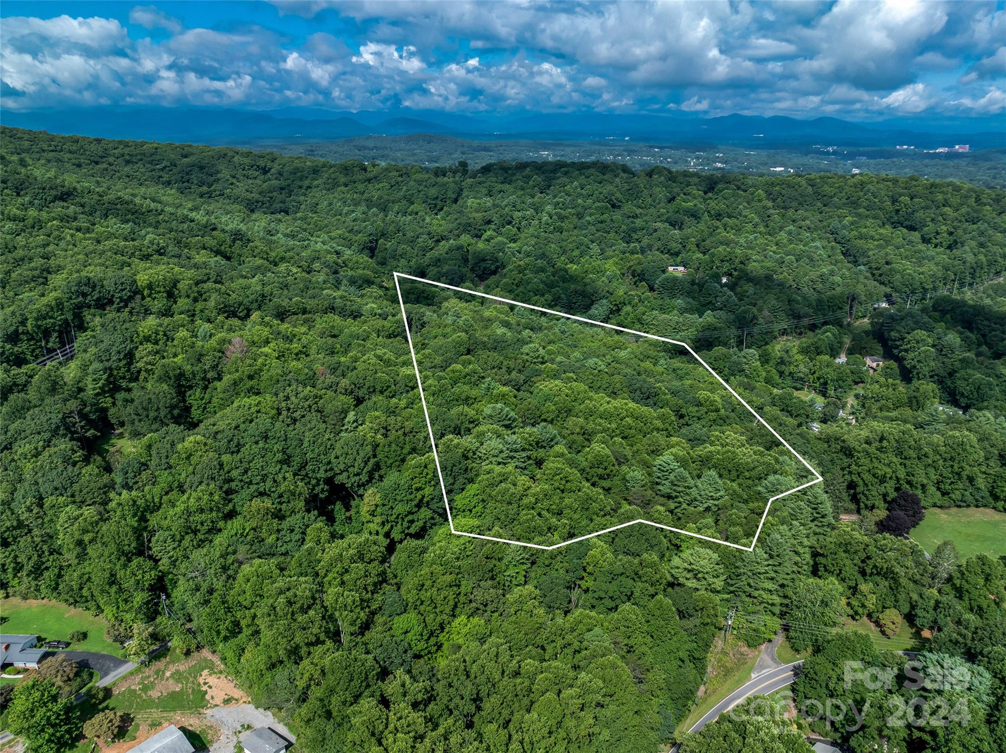 99999 Bee Ridge Road Asheville, NC 28803 - Photo 8 of 22 Gallery Image 8