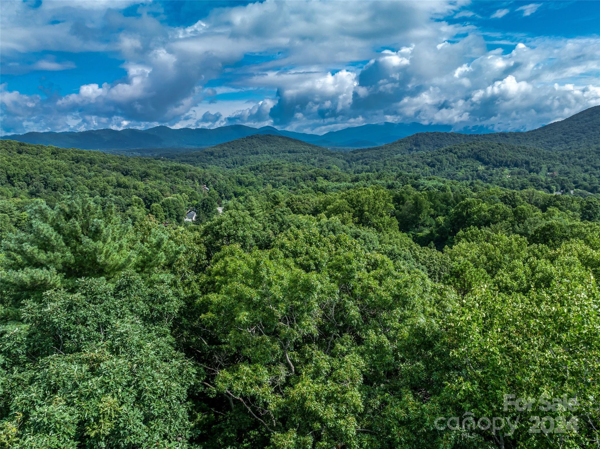 99999 Bee Ridge Road Asheville, NC 28803 - Photo 10 of 22 Gallery Image 10