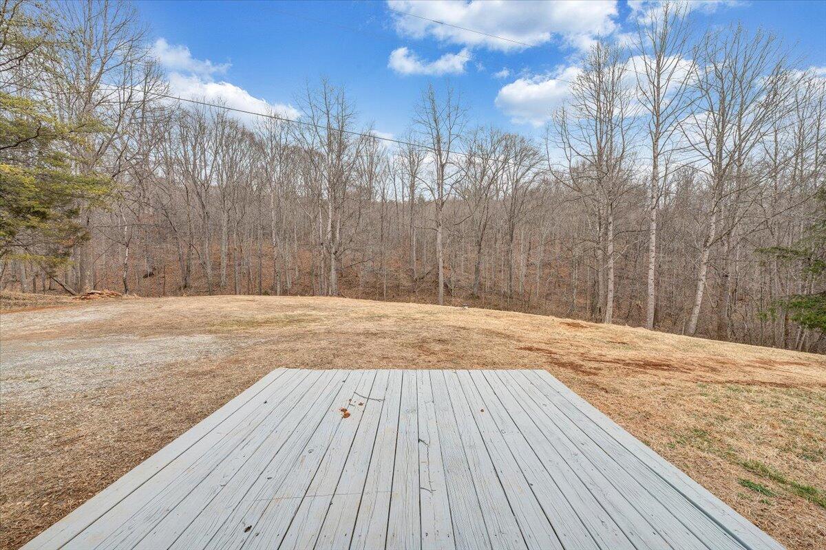 4160 Prillaman Switch Road Ferrum, VA 24088 - Photo 26 of 41 a view of backyard space