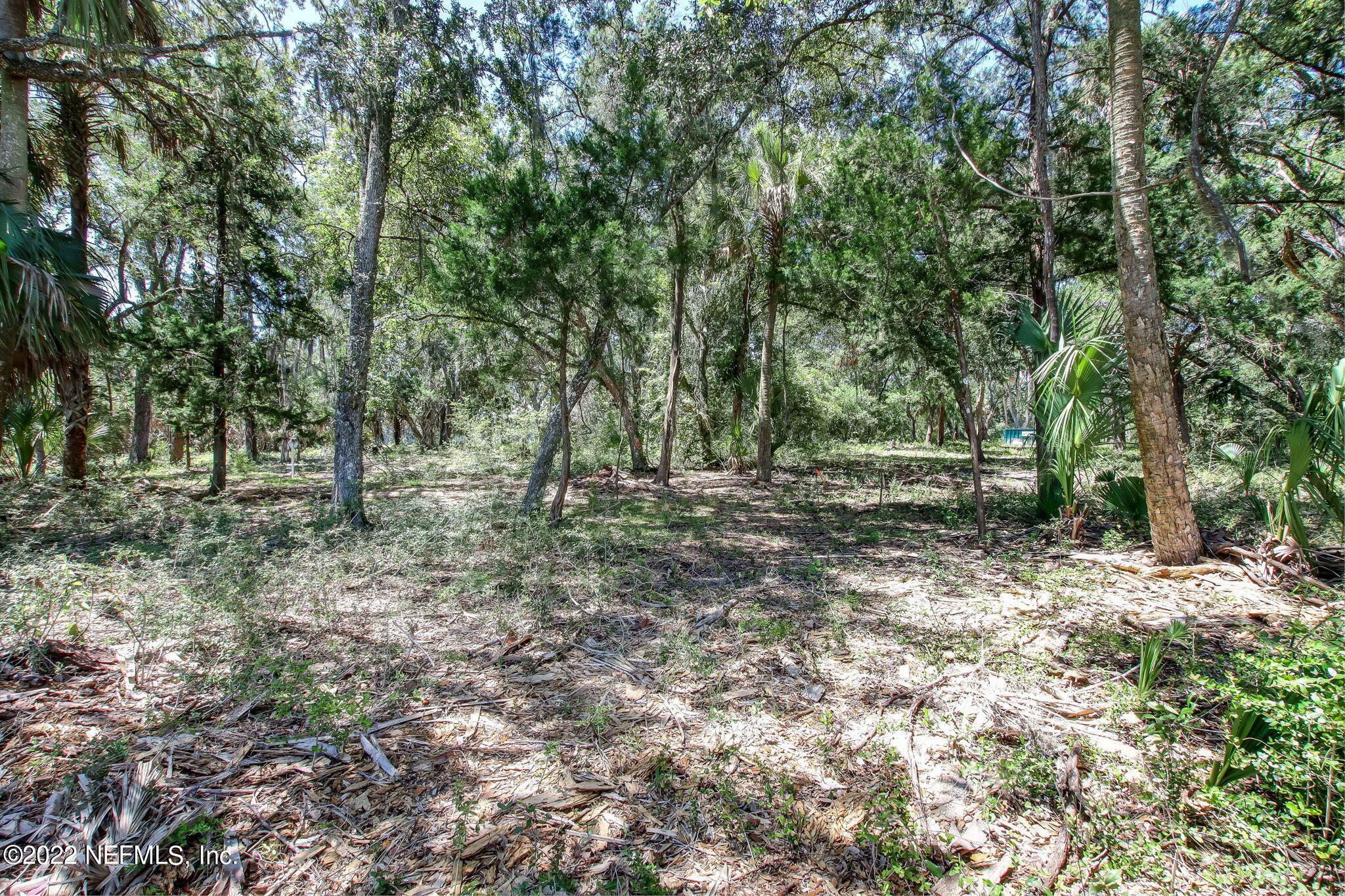 255 Shell Ridge Lane Ponte Vedra, FL 32081 - Photo 5 of 36 Mature shade trees