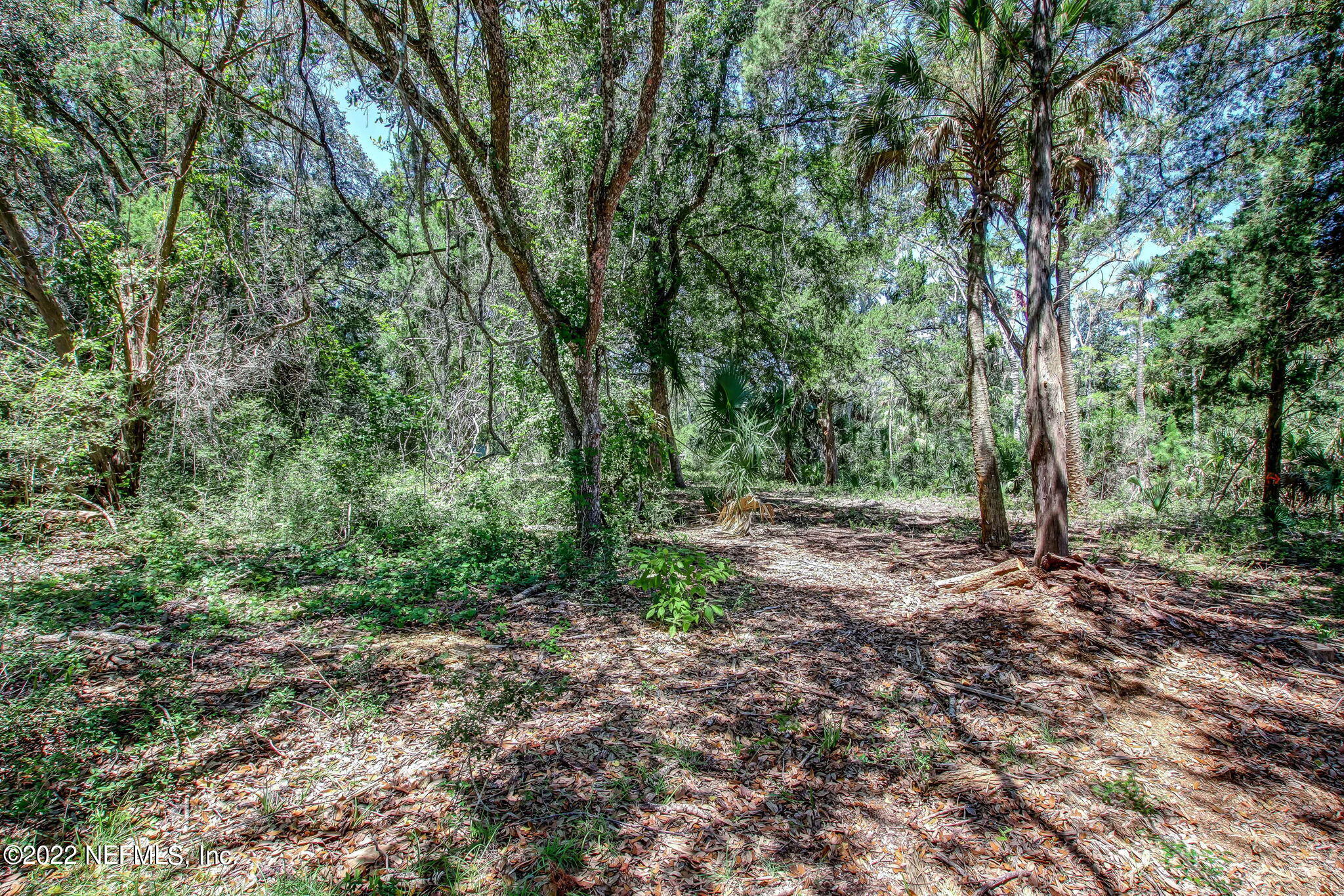 255 Shell Ridge Lane Ponte Vedra, FL 32081 - Photo 6 of 36 4-web-or-mls-River Landing Lot 50-4