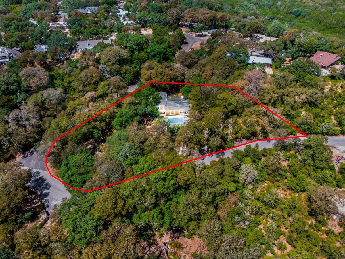 207 Rogers Ridge Street San Marcos, TX 78666 - Photo 31 of 35 These mature trees envelope this expansive property and its private pool.