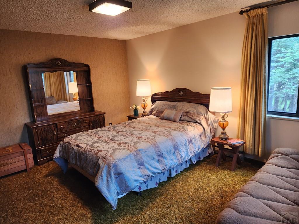 6779 Sunset Place Rye, CO 81069 - Photo 13 of 20