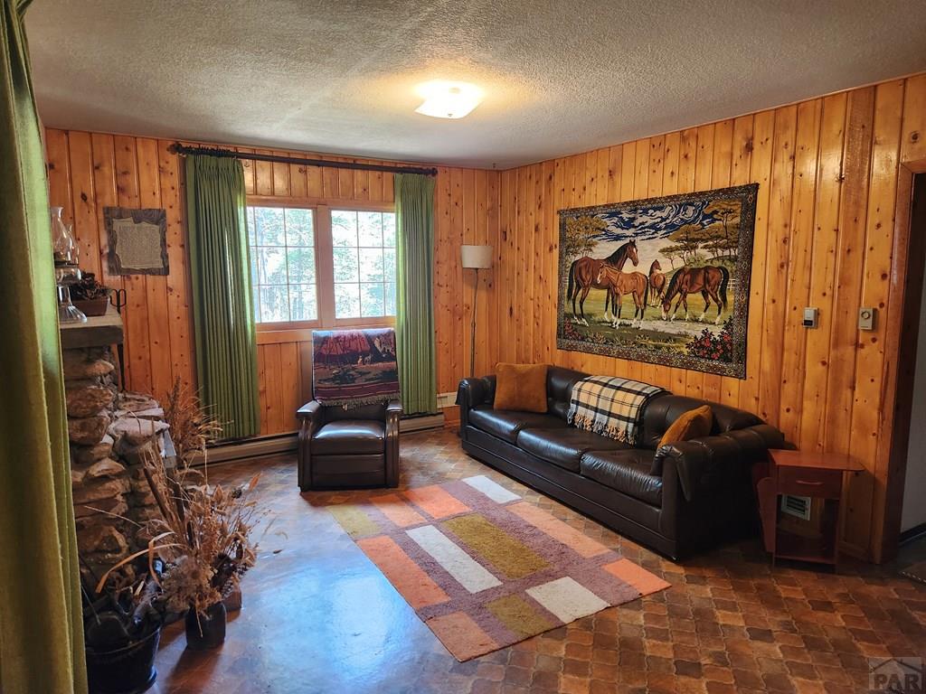 6779 Sunset Place Rye, CO 81069 - Photo 4 of 20