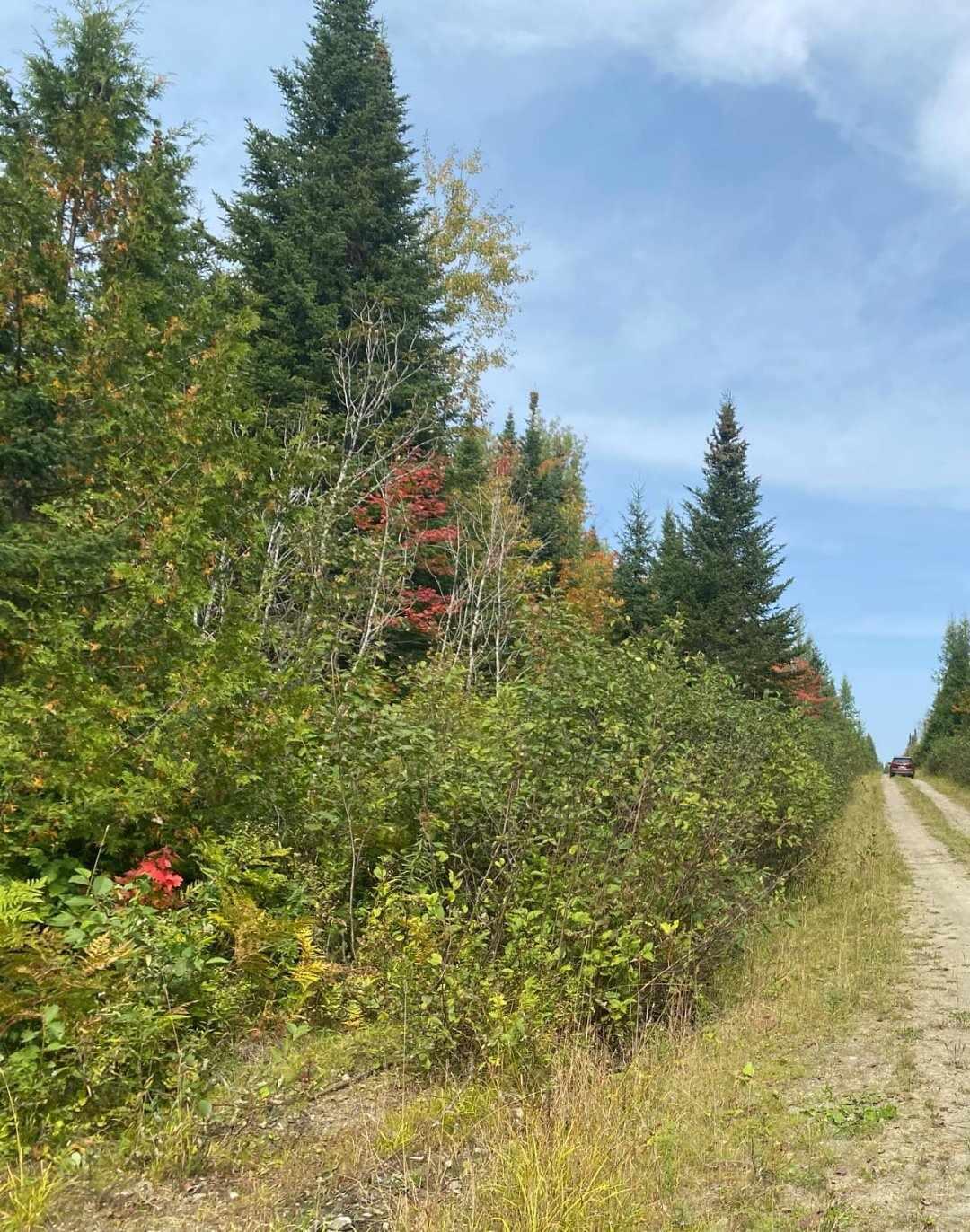 Lot 82.3 Stockholm Road Caribou, ME 04736 - Photo 1 of 7 Stockholm RD