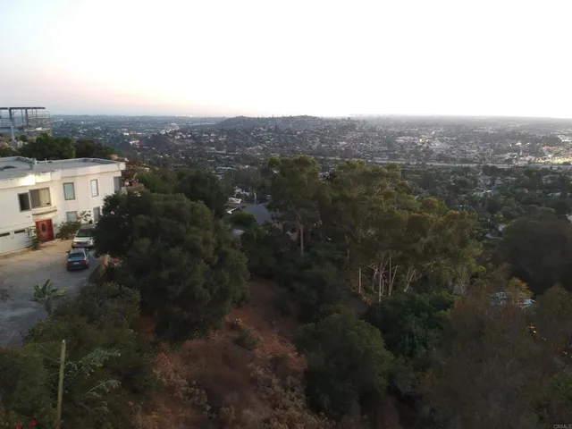 a view of a yard with plants and a bench