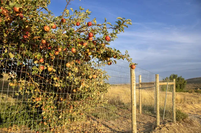 $749,900 | 178 Barker Road, Parkman, WY 82838