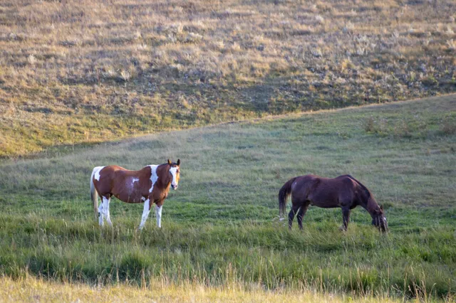 $749,900 | 178 Barker Road, Parkman, WY 82838